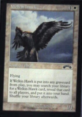 Welkin Hawk - Exodus: #25, Magic: The Gathering Lp R234