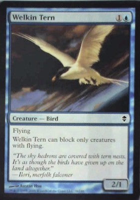Welkin Tern - Zendikar: #76, Magic: The Gathering Nm C333