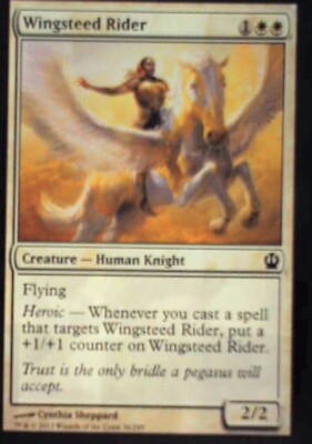 Wingsteed Rider - Theros: #36, Magic: The Gathering Nm R224