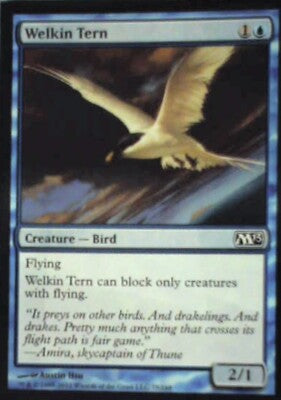 Welkin Tern - Magic 2013 (M13): #79, Magic: The Gathering Nm R127