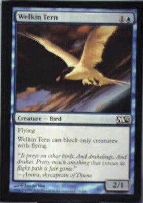 Welkin Tern - Magic 2013 (M13): #79, Magic: The Gathering Nm R244