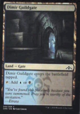 Dimir Guildgate (246) - Guilds of Ravnica: #246, Magic: The Gathering Nm R127