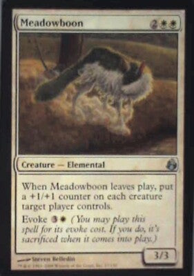 Meadowboon - Morningtide: #17, Magic: The Gathering Nm R171