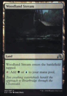 Woodland Stream - Shadows over Innistrad: #282, Magic: The Gathering Nm R53