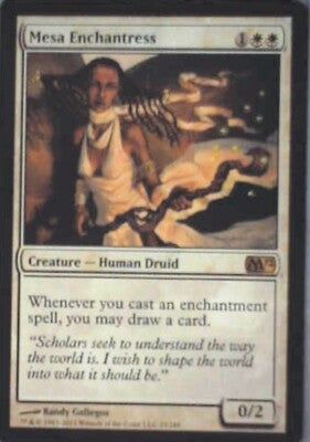 Mesa Enchantress - Magic 2010 (M10): #20, Magic: The Gathering Nm R239