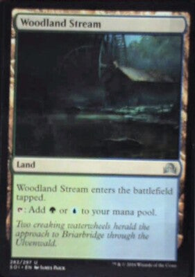 Woodland Stream - Shadows over Innistrad: #282, Magic: The Gathering Nm R144