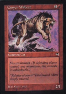 Canyon Wildcat - Tempest: #167, Magic: The Gathering Mp R37
