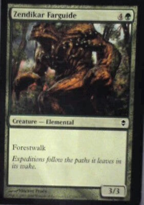 Zendikar Farguide - Zendikar: #194, Magic: The Gathering Nm