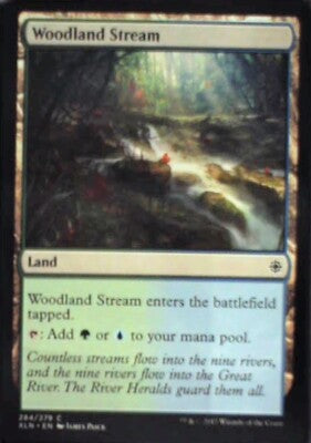 Woodland Stream - Ixalan: #284, Magic: The Gathering Nm R217