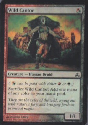 Wild Cantor - Guildpact: #149, Magic: The Gathering Lp R36