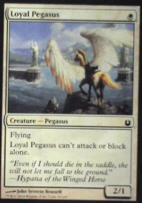 Loyal Pegasus - Born of the Gods: #19, Magic: The Gathering Nm R122