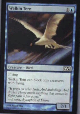 Welkin Tern - Magic 2013 (M13): #79, Magic: The Gathering Nm R174