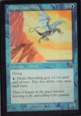 Drake Hatchling - Mercadian Masques: #76, Magic: The Gathering Nm R149