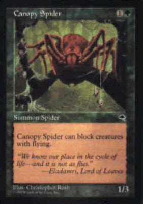 Canopy Spider - Tempest: #217, Magic: The Gathering Nm R124