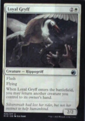 Loyal Gryff - Innistrad: Midnight Hunt: #26, Magic: The Gathering Nm R162