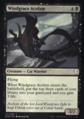 Windgrace Acolyte - Dominaria: #112, Magic: The Gathering Nm R181