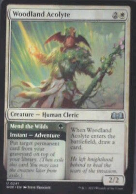 Woodland Acolyte - Wilds of Eldraine: #241, Magic: The Gathering Nm R232
