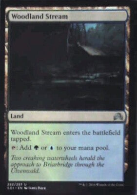 Woodland Stream - Shadows over Innistrad: #282, Magic: The Gathering Lp R38