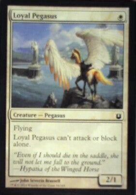Loyal Pegasus - Born of the Gods: #19, Magic: The Gathering Nm R240