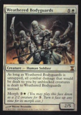 Weathered Bodyguards - Time Spiral: #46, Magic: The Gathering Nm R233