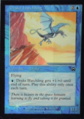 Drake Hatchling - Mercadian Masques: #76, Magic: The Gathering - Foil Lp R249