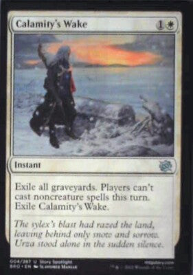 Calamity's Wake - The Brothers' War: #4, Magic: The Gathering Nm R184