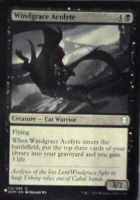Windgrace Acolyte - The List Reprints: #DOM-112, Magic: The Gathering Nm R84