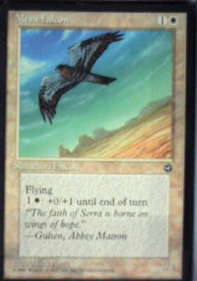 Mesa Falcon - Homelands: #10a, Magic: The Gathering Nm R196
