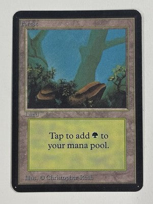 Forest (A) Alpha LP Light Play MTG Magic The Gathering 1.1