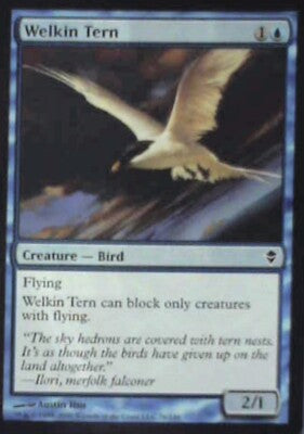 Welkin Tern - Zendikar: #76, Magic: The Gathering Nm R203
