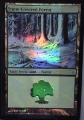 Snow-Covered Forest - Coldsnap: #155, Magic: The Gathering - Foil Nm R248