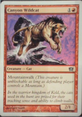 Canyon Wildcat - 8th Edition: #181, Magic: The Gathering Nm R43