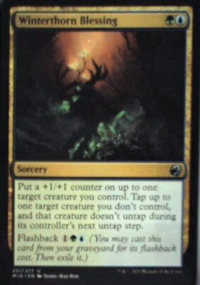 Winterthorn Blessing - Innistrad: Midnight Hunt: #251, MTG Nm R84