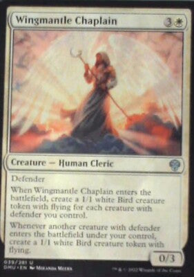 Wingmantle Chaplain - Dominaria United: #39, Magic: The Gathering Nm R84