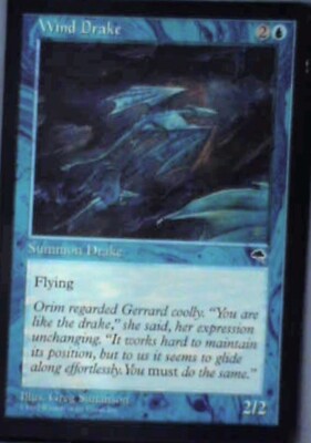 Wind Drake - Tempest: #105, Magic: The Gathering Lp R197