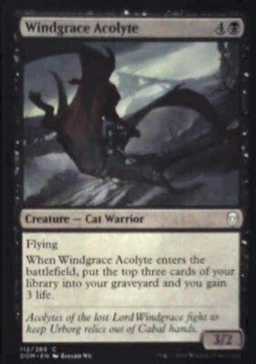 Windgrace Acolyte - Dominaria: #112, Magic: The Gathering Nm R166