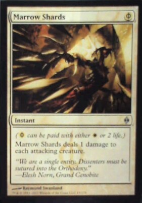 Marrow Shards - New Phyrexia: #15, Magic: The Gathering Nm R164