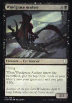 Windgrace Acolyte - Dominaria: #112, Magic: The Gathering Nm R142