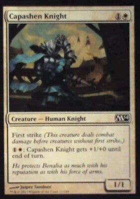 Capashen Knight - Magic 2014 (M14): #11, Magic: The Gathering Nm R137