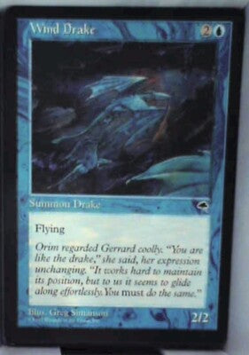 Wind Drake - Tempest: #105, Magic: The Gathering Nm R95