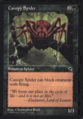Canopy Spider - Tempest: #217, Magic: The Gathering Mp R37