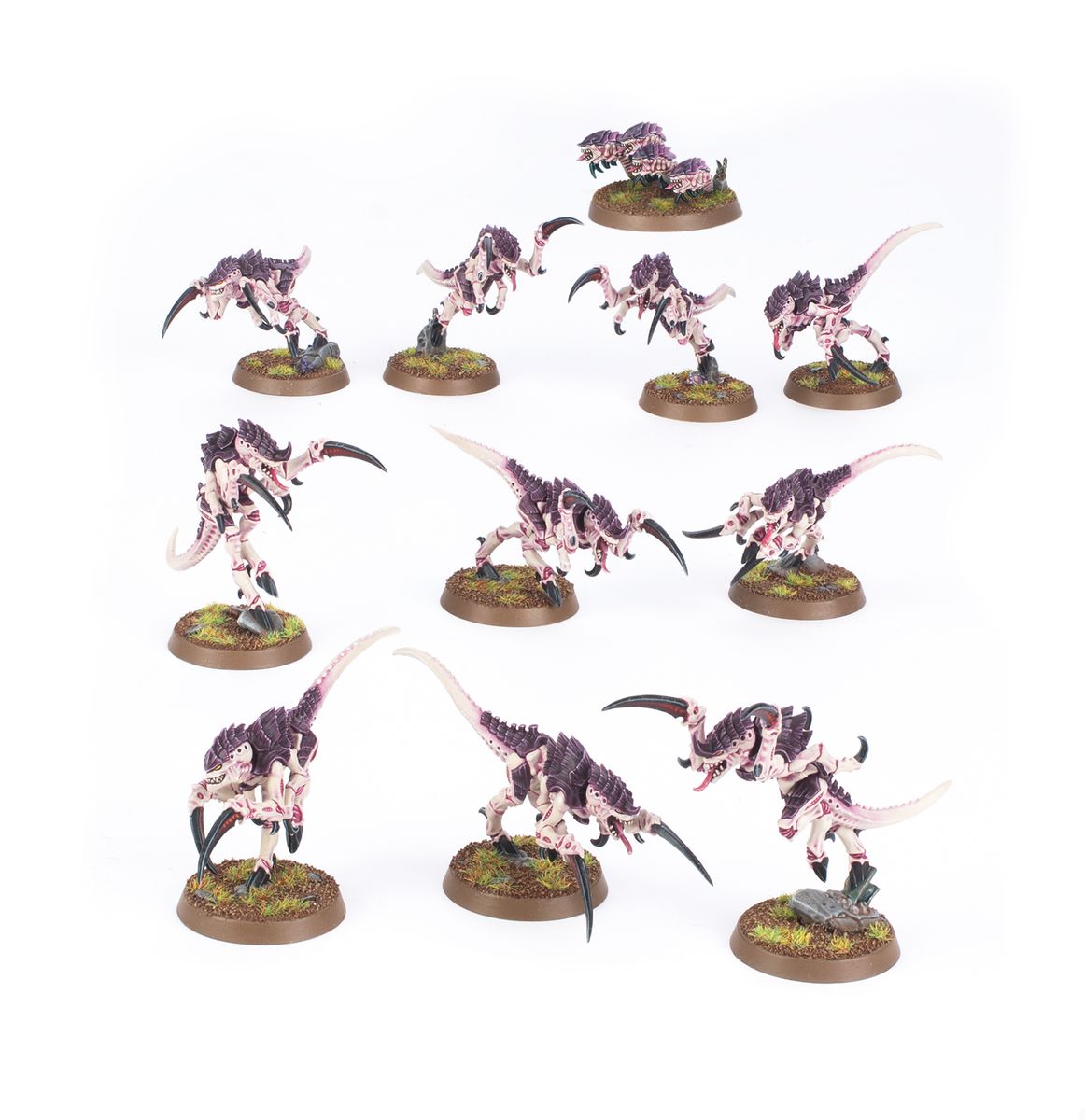 Hormagaunts Tyranids
