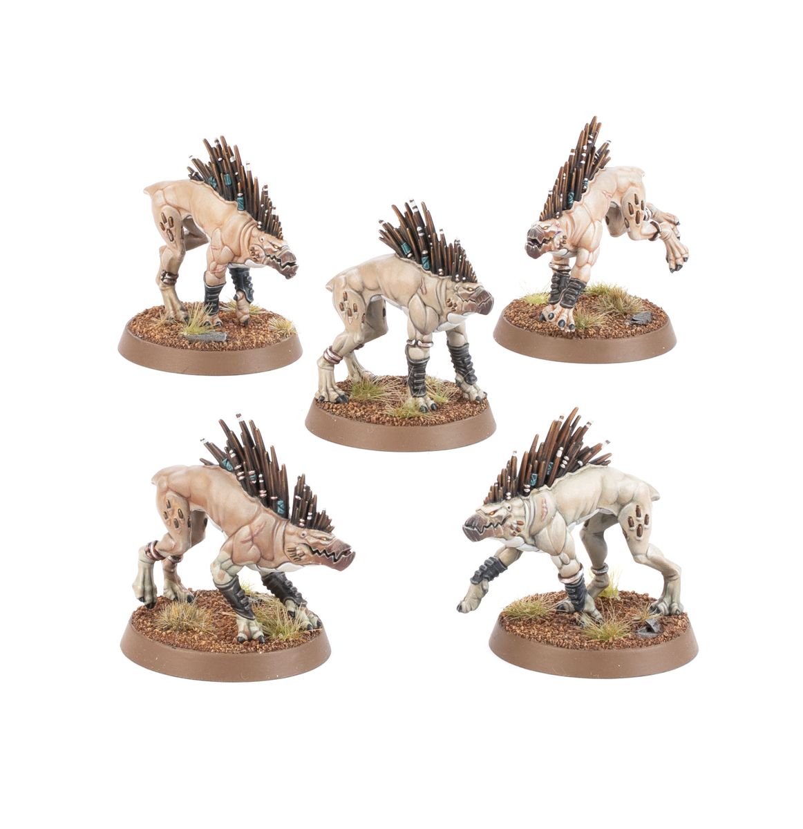 T'au Kroot Hounds T'au Empire