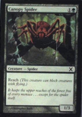 Canopy Spider - 10th Edition: #254, Magic: The Gathering Nm R76