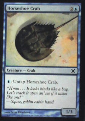Horseshoe Crab - 10th Edition: #87, Magic: The Gathering Nm R76