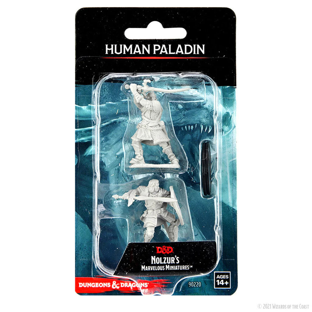 D&D Nolzur's Marvelous Miniatures: Human Paladin