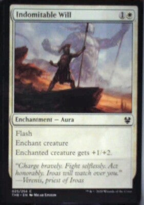 Indomitable Will - Theros Beyond Death: #25, Magic: The Gathering Nm R65
