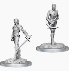 Nolzur’s Marvelous Miniatures Drow Fighters