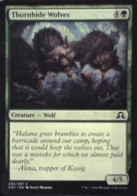 Thornhide Wolves - Shadows over Innistrad: #232, Magic: The Gathering Nm R73
